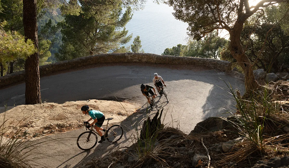 Lupine Verkäufe -Lupine Verkäufe Blog high summer 08