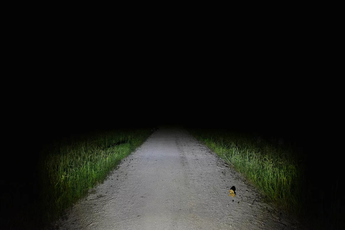 Lupine SL AF 7 Int. 1300 Lumen Scheinwerfer 11 Lupine SL AF 7 Int. 1300 Lumen Scheinwerfer – Bild 9